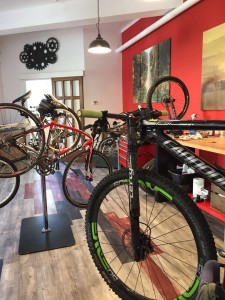 Cingolani Bike Service Bologna